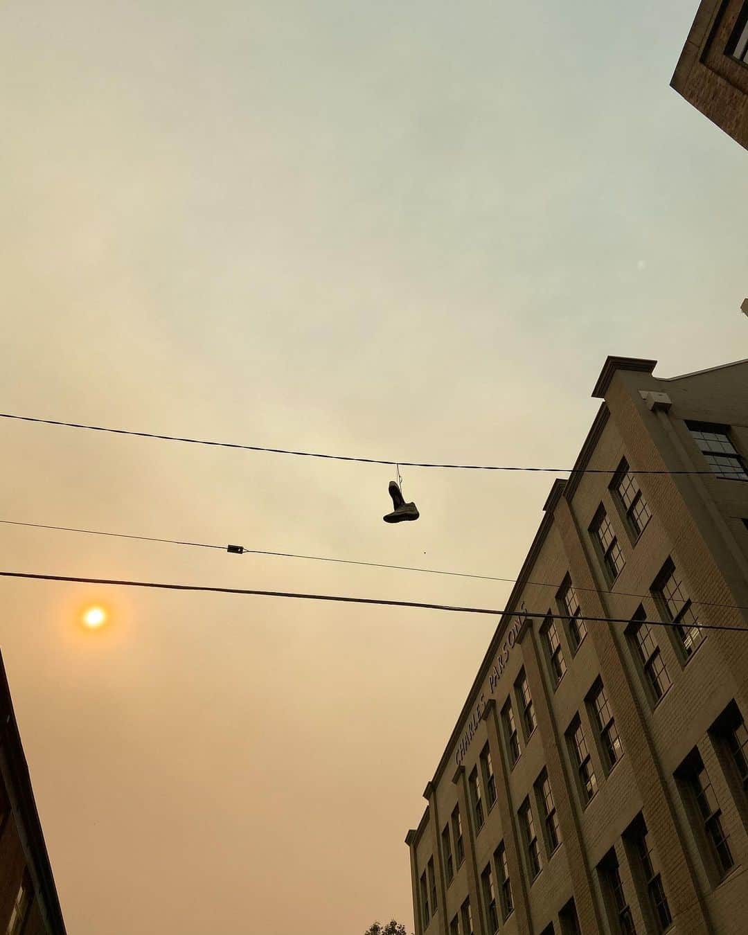 荒尾茉紀さんのインスタグラム写真 - (荒尾茉紀Instagram)「靴👟きのう何度か見かけた光景。何かしら意味があるのかなぁ🌞 #sydney #shoes」12月5日 13時49分 - maki.arao