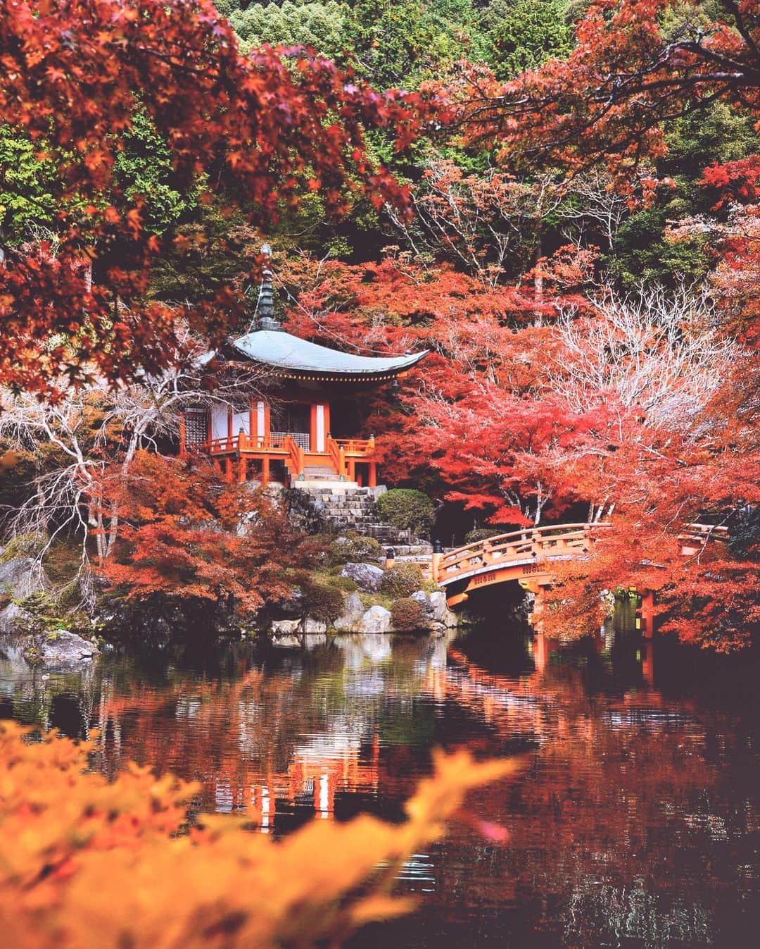 のインスタグラム：「Daigoji temple  #Kyoto #京都 #醍醐寺 #Japan #travel #trip #旅行 #autumnleaves #autumn」