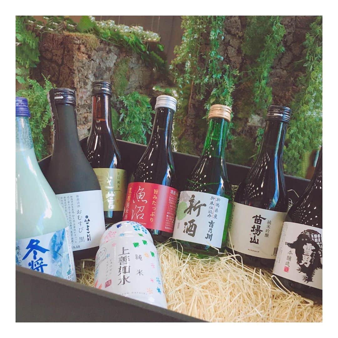 黒木晴香のインスタグラム：「さっそく勉強会をしなくては🤔💭 ——————————— #正解はポン酒でしたー #日本酒 #japanesesake  #日本酒好きな人と繋がりたい  #日本酒女子 #日本酒🍶  #日本酒好きと繋がりたい  #日本酒部 #日本酒備忘録 #利酒師 #日本酒検定 #ミス日本酒  #兄からのお土産 #mybrother」