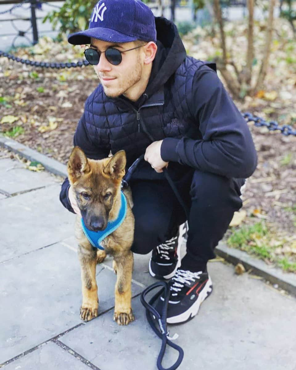 ニック・ジョナスさんのインスタグラム写真 - (ニック・ジョナスInstagram)「A man and his pup. @ginothegerman」12月5日 14時16分 - nickjonas