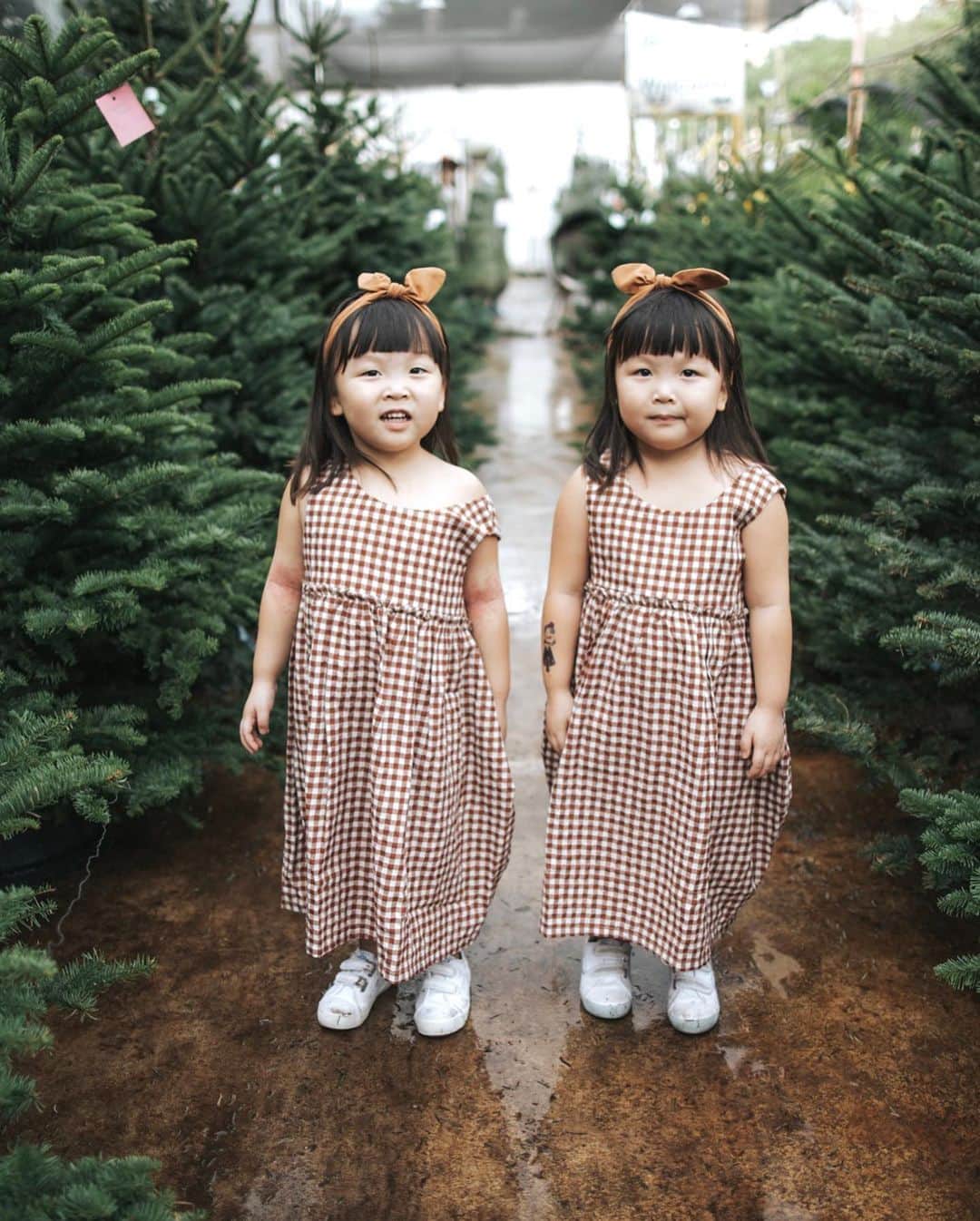 MOMOツインズさんのインスタグラム写真 - (MOMOツインズInstagram)「On a Christmas tree hunt.  Because nothing smells more wonderful than the scent of fresh pine. It’s almost like taking a walk in the woods! 🌲  #familytime #christmasishere」12月5日 14時15分 - leialauren