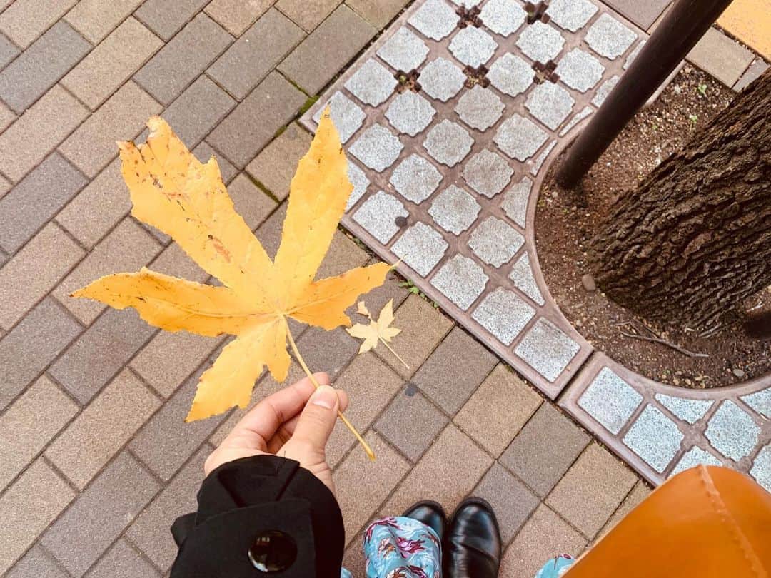 秋山ゆずきのインスタグラム：「. . 小さい秋みつけた🍁 秋というか、冬なのかな？ いつもより暖かい冬に感じる！ . . #紅葉 #秋 #冬」