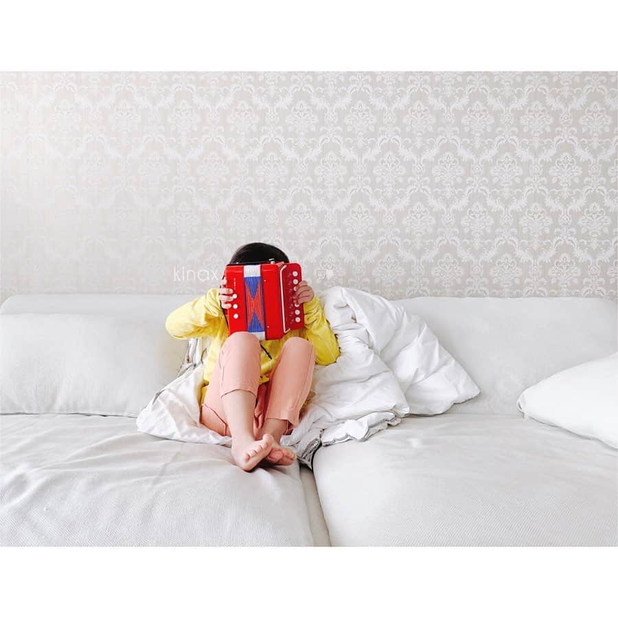 のインスタグラム：「. そういえば かわいいアコーディオン買いました♬ . . ずっと気になっていた子供用アコーディオンは まだ手が小さいからちょっと弾きにくそうだけど 楽しそうでなによりʕ •́؈•̀ ₎♡ . . 思ったより難しいね！笑 . . 話はちょっと変わって クリスマスプレゼントにむちこさんが 「ウーニーズ」っていうのを欲しいそうなんだけど レビューを見るとコツがいるのか 小さい子にはちょっと難しいのかな。 . あとぺたぺたしているなら 猫毛とかくっつきそうで 綺麗好きむちこさんは「ごみごみとってー！」 って怒りそうで(´Д` ) . むちこさんはまだお手紙を書けないから ちびっこ姉さんにお願いしようと思ってるんだけど 欲しがってるものを頼むべきか…悩ましい… . . みなさんのクリスマスプレゼント事情を 教えてもらえたら嬉しいなぁ🎁 . #親バカ部 #アコーディオン #kinaxvideo #楽天roomに載せてます #roomインフルエンサー @room_rakuten #おもちゃ整理しないと入らない #容赦なく捨てるから嫌がられる母 #ごめん 2019/12/05」