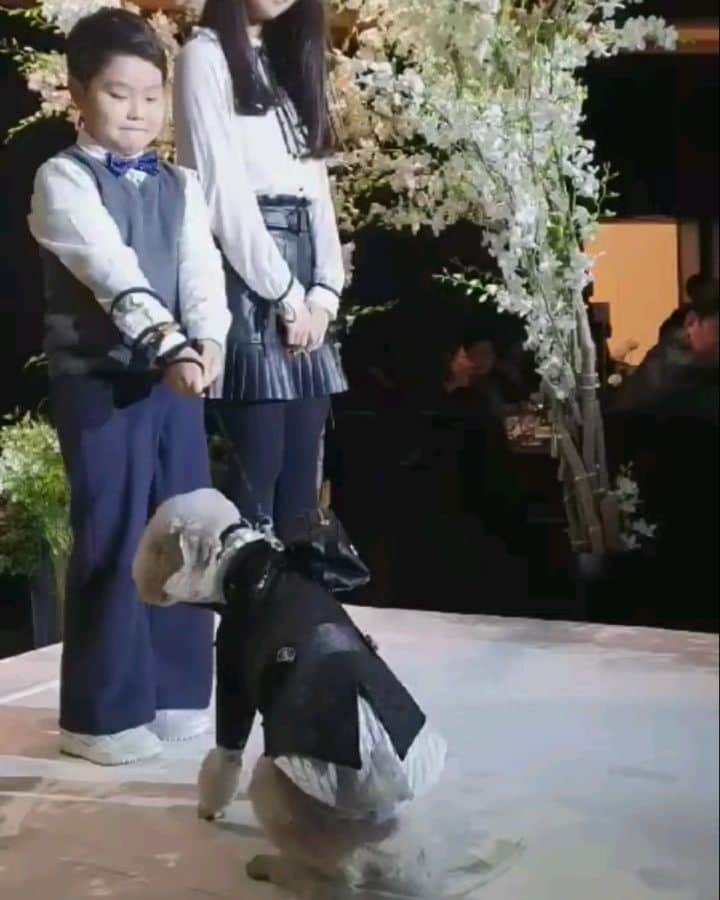 パク・ジュヒョンのインスタグラム：「잘했어 우리 서희양 필재군 남충군❤」