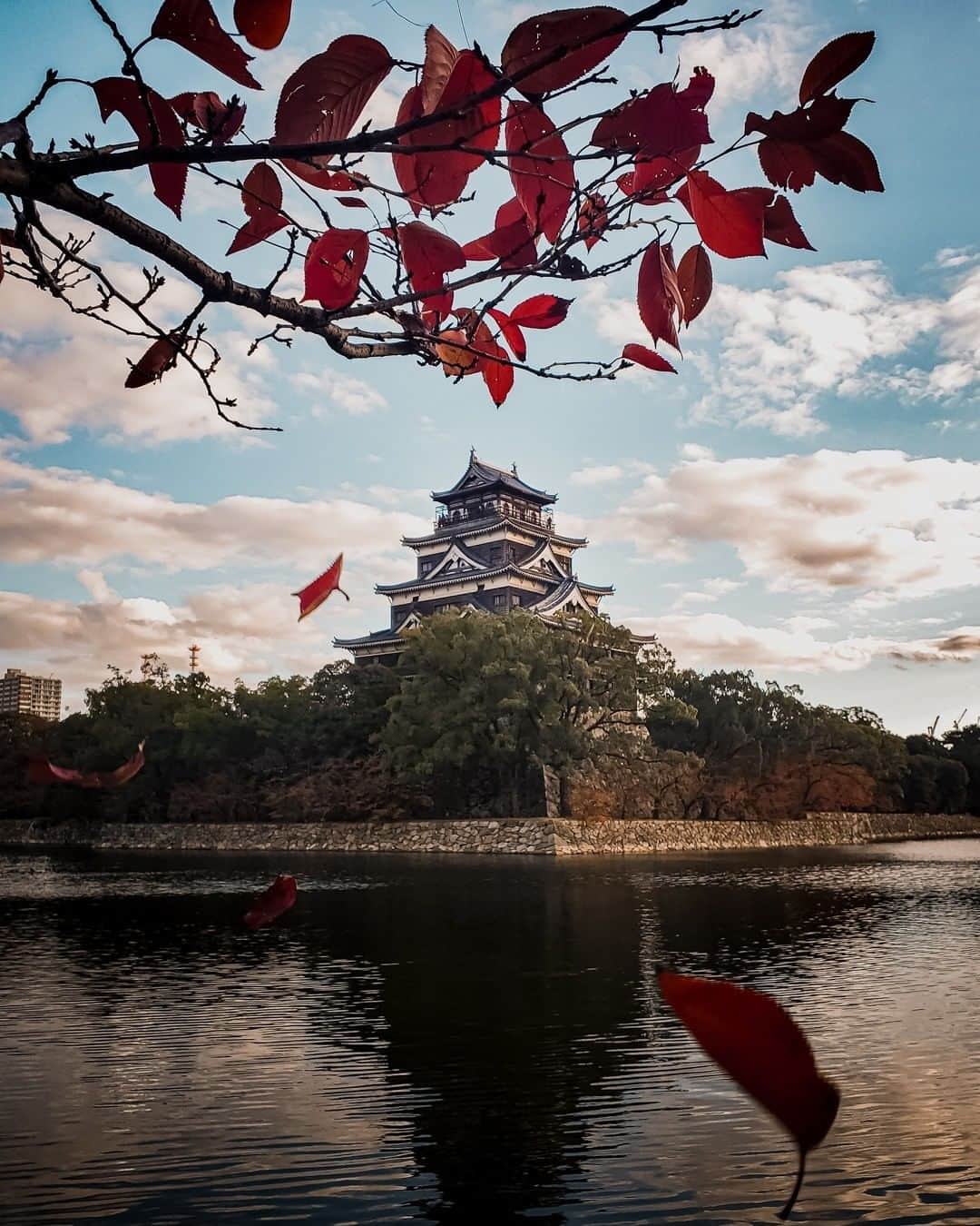 Galaxy Mobile Japanさんのインスタグラム写真 - (Galaxy Mobile JapanInstagram)「#GalaxyNote10Plus で撮影した秋の終わり…紅葉は散り際まで美しいですね…🍁 まだ紅葉が見られる！という地域の方、残りわずかなシャッターチャンスをお見逃しなく♪ 素敵な写真が撮れたら、ぜひ #Galaxyカメラ部 をつけて投稿してくださいね👏 📸#GalaxyNote10+ #withGalaxy Photo by @_deepsky ・ ・ ・ #広島 #広島県 #広島市 #広島城 #城巡り #城めぐり #城 #広島旅行 #広島観光 #紅葉 #紅葉🍁 #🍁 #紅葉狩り #晩秋 #空を見上げるのが好き #日本の景色 #日本の絶景 #日本の美 #hiroshima #hiroshimacastle #Galaxyカメラ部」12月5日 17時01分 - samsungjpn