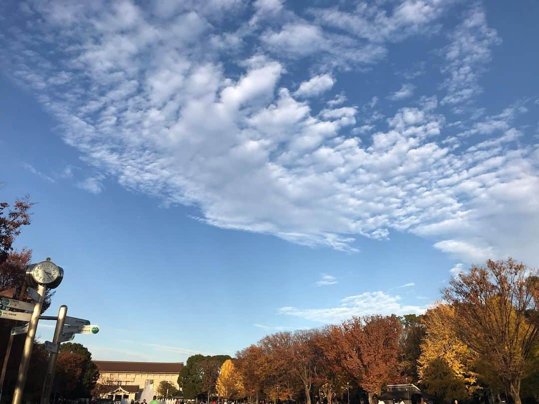 畑中葉子さんのインスタグラム写真 - (畑中葉子Instagram)「上野公園  #上野公園 #東京 #景色 #風景 #上野 #tokyo #japan #scenery #scene #landscape #yhscenery」12月5日 17時15分 - hatanaka_yoko