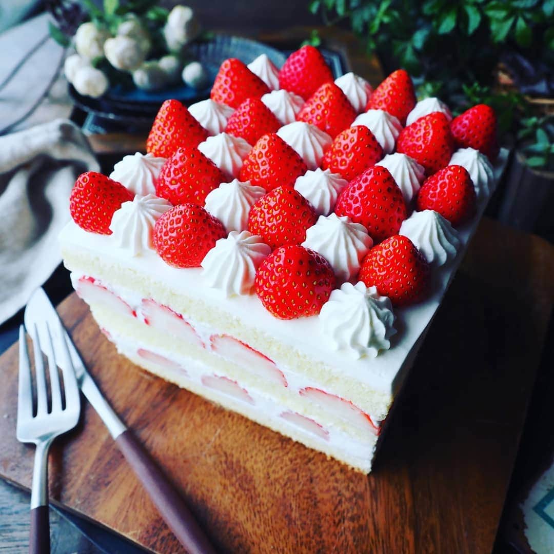 Michiko Maedaさんのインスタグラム写真 - (Michiko MaedaInstagram)「クリスマスケーキにも🎄✨ どっさりいちごのスクエアケーキ🍓 ※※※※※ ※※※※※ #スクエアケーキ#いちごショート #いちごケーキ#クリスマスケーキ #お誕生日ケーキ#クリスマス #デコレーションケーキ #christmascake#birthdaycake  #いちご#苺#strawberry #また１つ歳を重ねました  #素敵な1年にしたいと思います #いつもほんとにありがとうございます💝 #レシピは後程ブログにて #IGersJP#IGersjp#IGersj#クッキングラム#デリスタグラマー#おうちごはんlover #lin_stagrammer#kurashiru#クッキングラム#クッキングラムアンバサダー#クオカ#エルグルメ#フーディーテーブル」12月5日 17時30分 - shana.mama