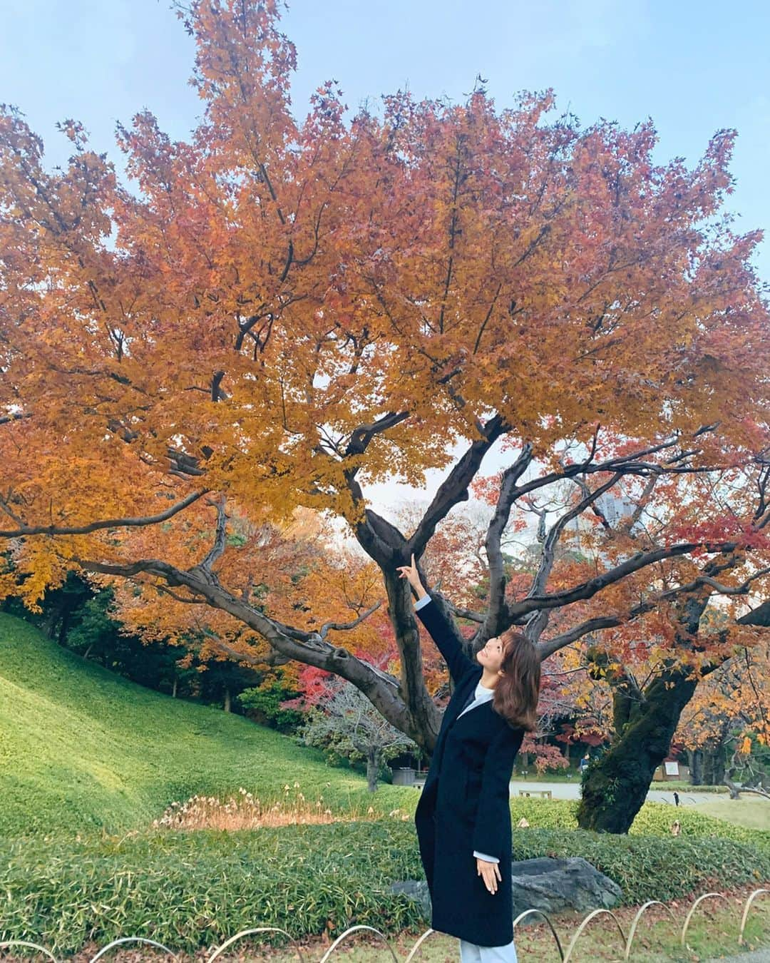 海老原優香さんのインスタグラム写真 - (海老原優香Instagram)「取材先で綺麗な紅葉を発見！  #小石川後楽園  #紅葉#🍁 #ようやく見頃になってきたみたいです」12月5日 17時45分 - ebioffi