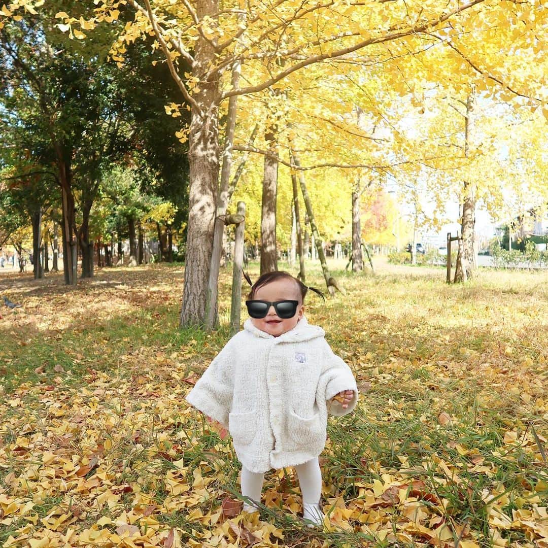 ayu kagawaさんのインスタグラム写真 - (ayu kagawaInstagram)「あっという間に12月🍂🍁 歳を重ねる毎にこの季節が好きになる。 落ち葉の絨毯が綺麗すぎるねー🍂 娘は落ち葉の上でシャカシャカ音が鳴るのを楽しんでた♡✨ 白いタイツは茶色になっていたけれど😛  ８ヶ月になった娘。 立っちが大好きで今にも歩き出しそう。 お喋り大好きでいつもあーあーままままー。てぃてぃ！と喋ってる♡ ずっと一本だった歯の横に２本目がチラッと見え始めた。  相変わらず兄からの強すぎる愛情を日々もらって、あまり何事にも動じない強い女の子に育っています。笑 #兄妹 #成長記録 #baby#babygirl #8month#8ヶ月  #8monthsbaby#8ヶ月ベビー」12月5日 17時46分 - ayuyunyun