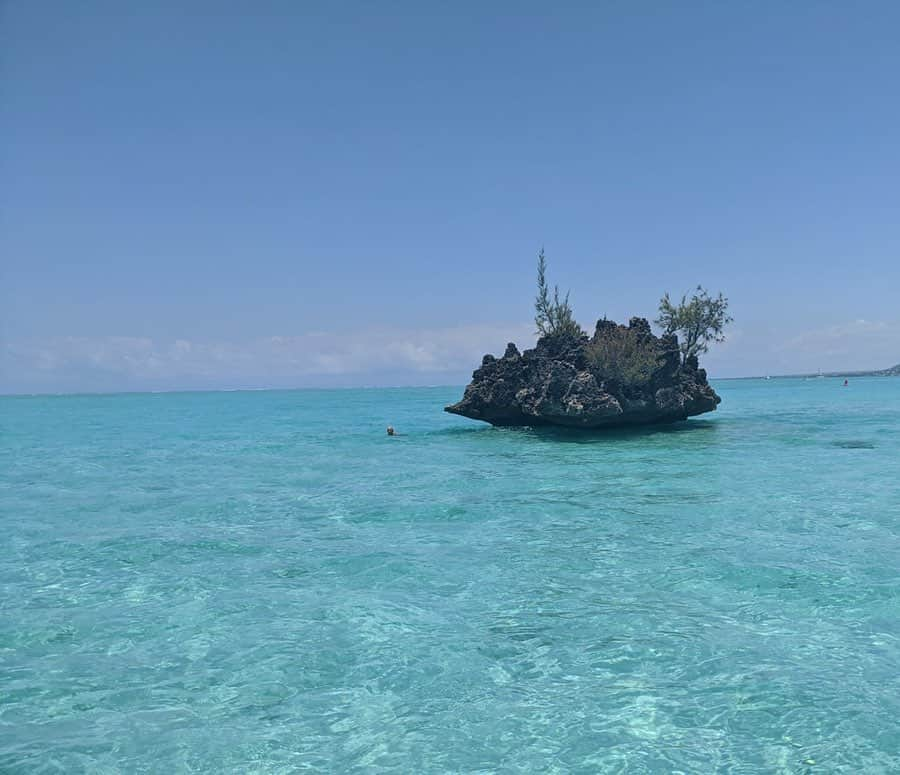 クリスチャン・トーマスさんのインスタグラム写真 - (クリスチャン・トーマスInstagram)「Crystal waters, Sperm Whales showing off and a chamce to swim with dolphins 🙌🏼 #whataday😍  #mauritius🇲🇺」12月6日 3時22分 - kristom1