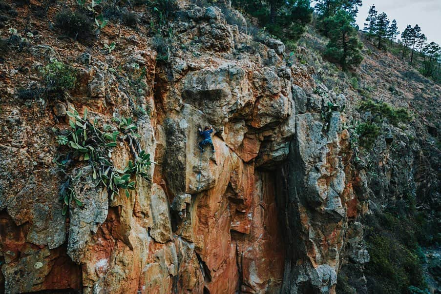 マチルド・ベセーラさんのインスタグラム写真 - (マチルド・ベセーラInstagram)「Quel privilège de découvrir Tenerife et ses falaises volcaniques lors du rassemblement des athlètes @thenorthface pour le #tnfathletesummit 🧗🏻‍♀️🤩⁣ ⁣ What a privilege to discover Tenerife and its volcanic rock with @thenorthface athletes at the #tnfathletesummit 🧗🏻‍♀️🤩⁣ ⁣ 📸 @mathis_dumas⁣ ⁣ #tnfathletesummit #tenerife #athletes #rockclimbing #sharing #outdoors #rockclimbing #climbinggirl #climbinginspiration #climbingday #climbinglife #sportclimbing #climbingphotography #climbing_is_my_passion #naturelovers #adventuresports #iloveclimbing #climbing_pictures_of_instagram #exploreyourlimits #neverstopexploring #likeamountaingirl #womenwhoexplore #girlpower #tiedtobefree #pureclimbing #climbing_worldwide⁣⁣」12月6日 3時21分 - mathildebecerra