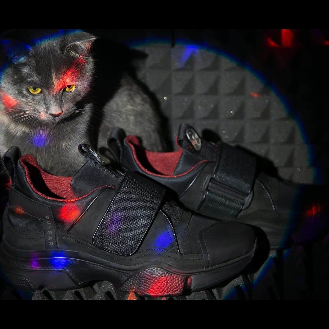 ブルーノボルデーゼさんのインスタグラム写真 - (ブルーノボルデーゼInstagram)「#STEAM by BRUNOBORDESE Cat and light . . . . SHOP NOW www.brunobordese.com . . . . #sport #man #brunobordese #shoesoftheday #shoes #black #socks #footwear #igsneakers #style #italianshoes #luxury #special #chains」12月6日 3時48分 - brunobordese_official