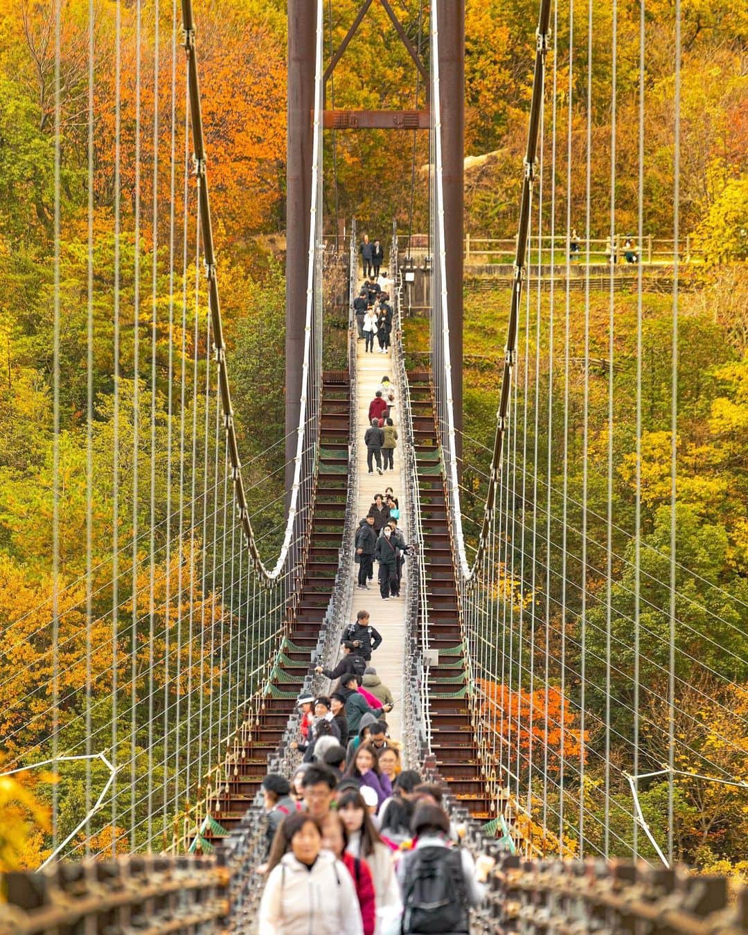 kyoko_zzzのインスタグラム：「Cross over the autumn Bridge 🍂  #ほしだ園地　#星のブランコ」