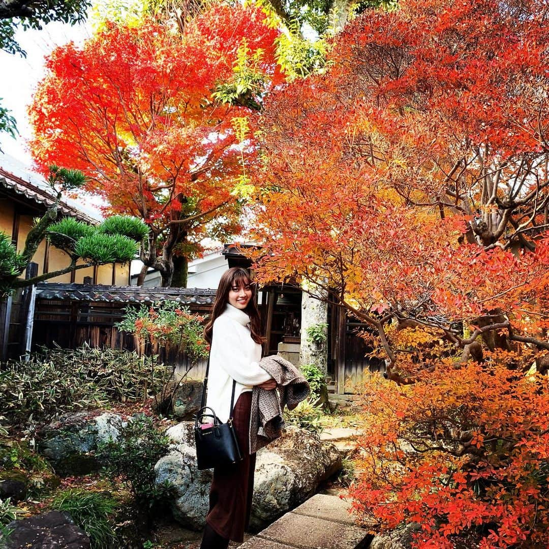 間瀬遥花さんのインスタグラム写真 - (間瀬遥花Instagram)「. . 紅葉滑り込んだ🍁 かえでともみじの区別が未だに付きません . . . . #紅葉 #紅葉狩り #紅葉見頃 #紅葉🍁 #秋 #もみじ #楓 #うだつの町並み #うだつの上がる町並み #水琴窟」12月5日 20時34分 - maseharu_929