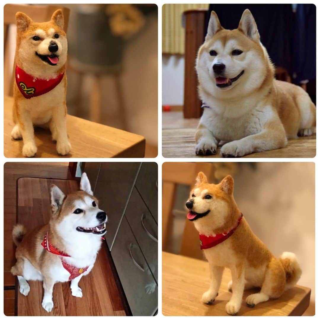 ericoのインスタグラム