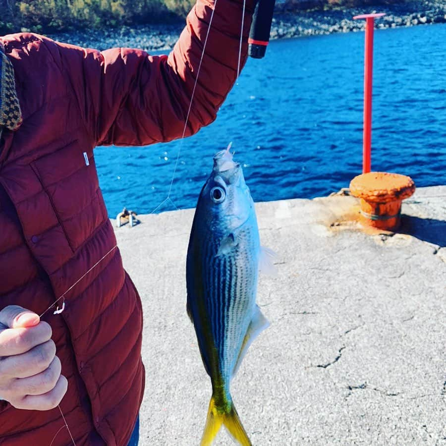 ダイスケさんのインスタグラム写真 - (ダイスケInstagram)「ツアーの合間のブレイク🐟 熱海港からフェリーで30分、 初島で釣りしてきました。  タカベと小さなの数匹くらいの釣果でしたが、遠くに見えた真っ白い富士の冠きれいだったし良い旅だった。 (背後で釣れるのずっと待ってた猫に、 ちっこい魚あげたらありがとうも言わず遠くに走り去って消えた。) #初島 #日帰り旅行 #たかべ #富士山 #旅 #走り去った猫は５分後にまた戻ってきてこちらを見ていた」12月5日 21時00分 - daisukekatayama_official