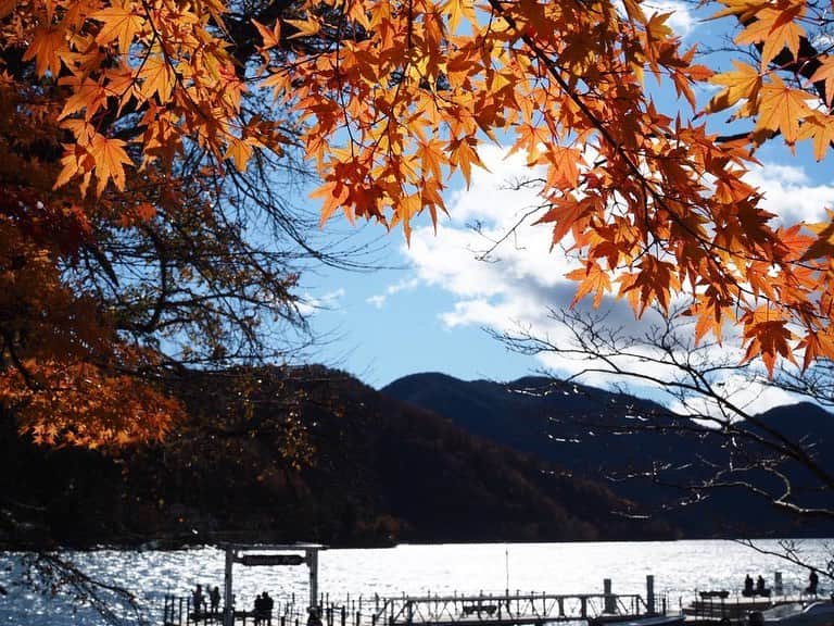 女子アナ47さんのインスタグラム写真 - (女子アナ47Instagram)「皆さん、こんばんは！ 石田あゆみです🌟  紅葉🍁を見に東京から日光にお出かけしてきました！！！ いろいろなスポットを巡ったのですが、一番のお気に入りスポットは中禅寺湖でした🌟  湖の青、空の青と赤く染まった山々のコントラストがすごく綺麗でした✨  皆さんぜひ日光で自分の紅葉おすすめスポットを見つけてみてください！ . #女子アナ47 #47発信プロジェクト #アナウンサー #フリーアナウンサー #女子アナ #地方創生 #地方創生アナウンサー #司会 #司会者#旅行好きな人と繋がりたい #47都道府県制覇の旅 #47都道府県制覇 #アナウンサーの日常 #女子アナウンサー #紅葉狩り #紅葉 #紅葉デート #紅葉見頃 #紅葉2019 #日光旅行 #日光紅葉 #日光観光 #お気に入りの場所 #中禅寺湖紅葉 #中禅寺湖 #中禅寺湖遊覧船 #日光東照宮🙈🙊🙉 #明智平展望台 #いろは坂　#ママアナウンサーズ」12月5日 21時17分 - jana47com