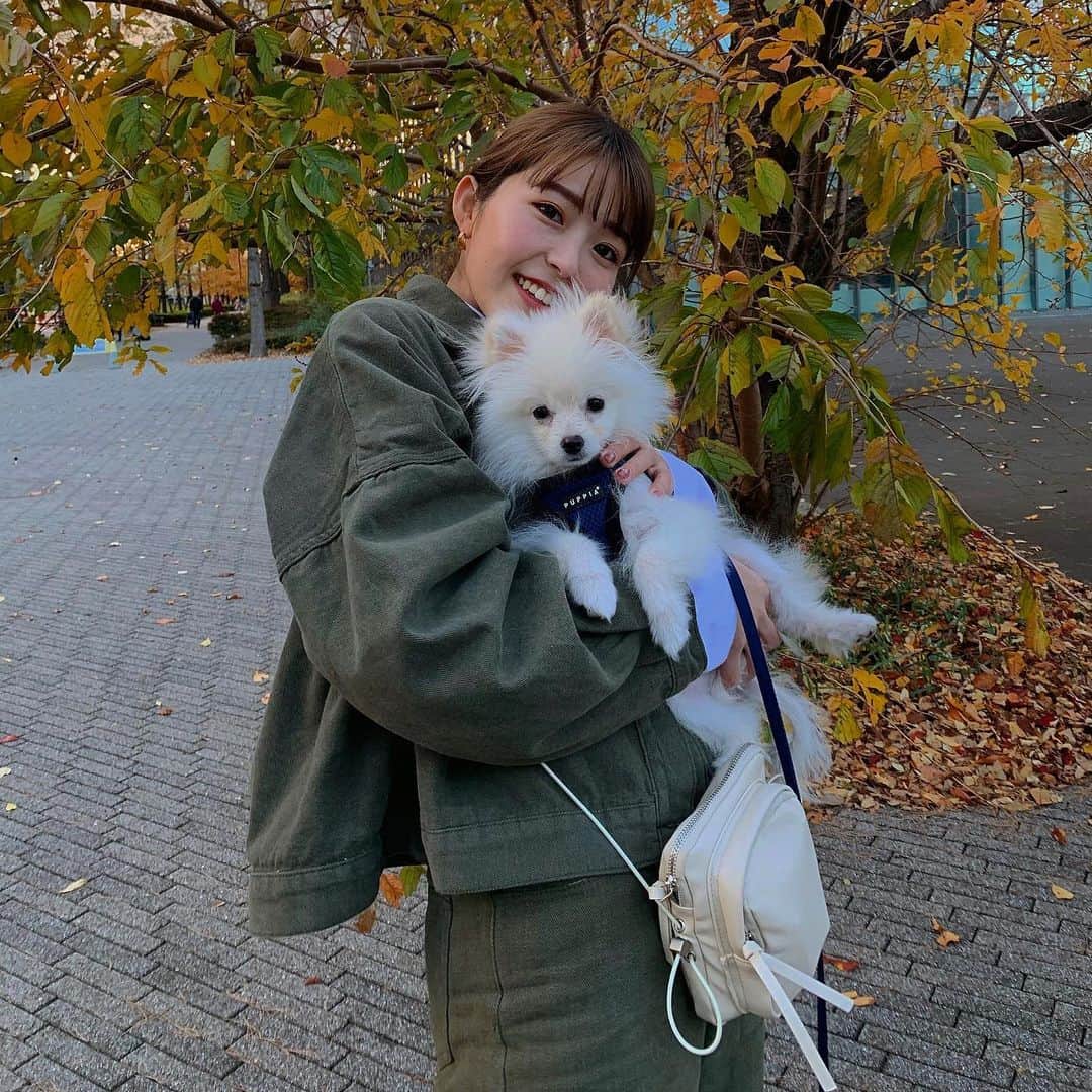 のインスタグラム：「_ 12月、特に何故かクリスマスの日に限って寝込みがちだから今年こそ突っ走るぞ~(すでに風邪初期症状なうだけど食い止める笑)頭も身体も使い切って今年を終えたい☺︎今日も一日おつかれぴ。」