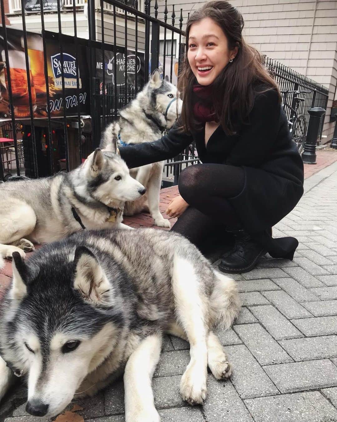 香華（KOuKA）のインスタグラム：「These fluffy doggies powering me through finals season #tb」