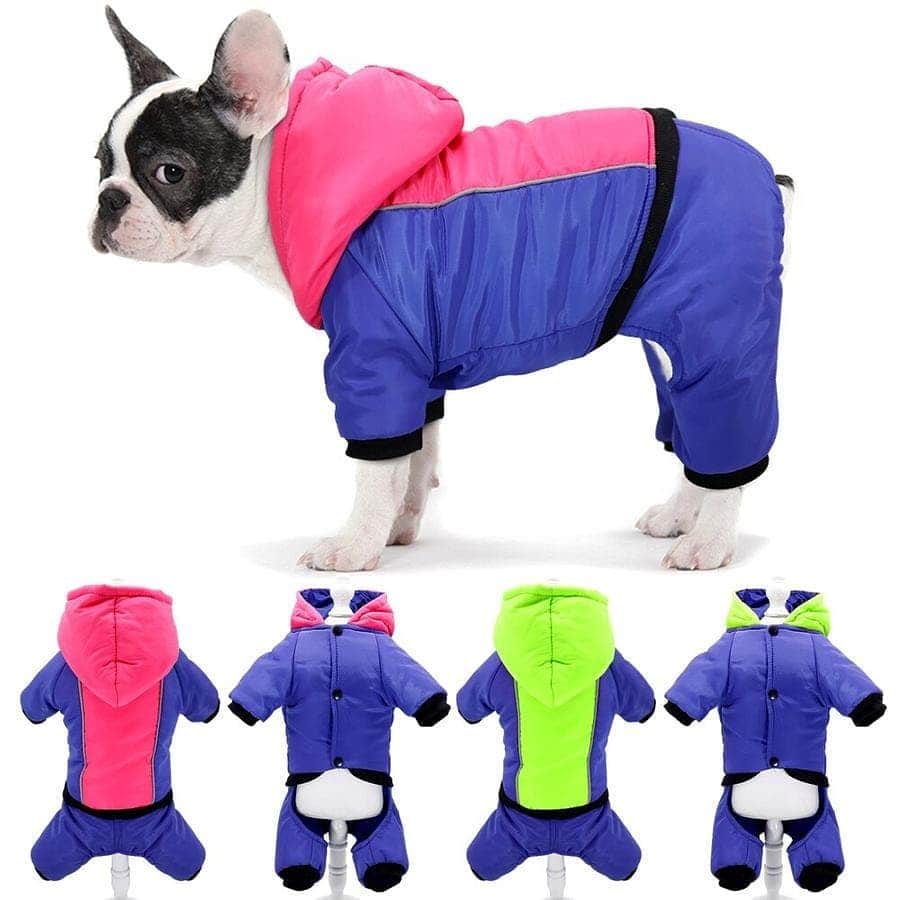 French Bulldogさんのインスタグラム写真 - (French BulldogInstagram)「New Arrivals ✔ Give your Frenchie the ultimate cold protection with the @frenchie.worlld Winter Jumpsuit Outfit 🥶❄🌨 LINK IN BIO 🔝🔝🔝 ... ✔ Wear and tear - made of durable materials ✔ Full-body fit that protects your dog from head to paws ✔Breathable ✔A thick Outer Shell ✔Water Resistance . . . . . #frenchie #frenchies #frenchies1 #frenchiepuppy#frenchiesofinstagram #frenchbulldog #frenchbulldogs#frenchbulldogpuppy #frenchbulldogsofinstagram #fralla#fransebulldog #franskbulldog #französischebulldogge#flatnosedogsociety #bulldogfrances #bouledogue#bouledoguefrancais #batpig #buhi #frogdog #squishyface#squishyfacecrew #redfawn #フレンチブルドッグ #フレンチブルドッグ #フレブル #ワンコ」12月5日 22時12分 - frenchie.world