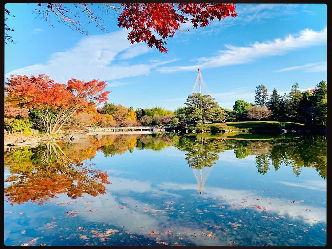 神園さやかさんのインスタグラム写真 - (神園さやかInstagram)「この秋一番の景色に出会いました☆  #美しき水鏡」12月5日 22時23分 - sayaka.kamizono