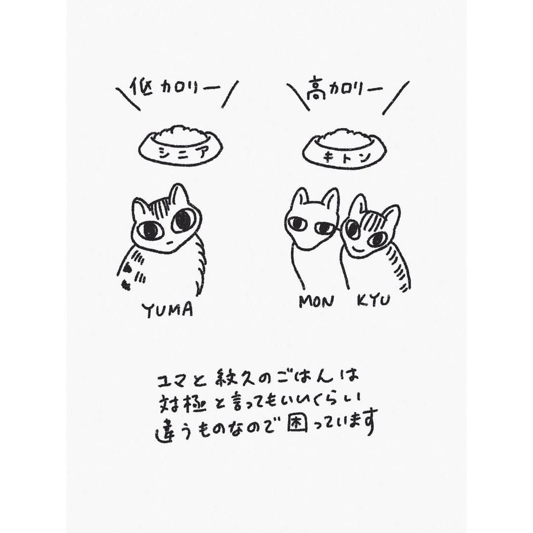 eriさんのインスタグラム写真 - (eriInstagram)「きゅーたろはいつもニコニコしててかわいいねえ。　#紋久育児日記」12月5日 22時49分 - e_r_i_e_r_i