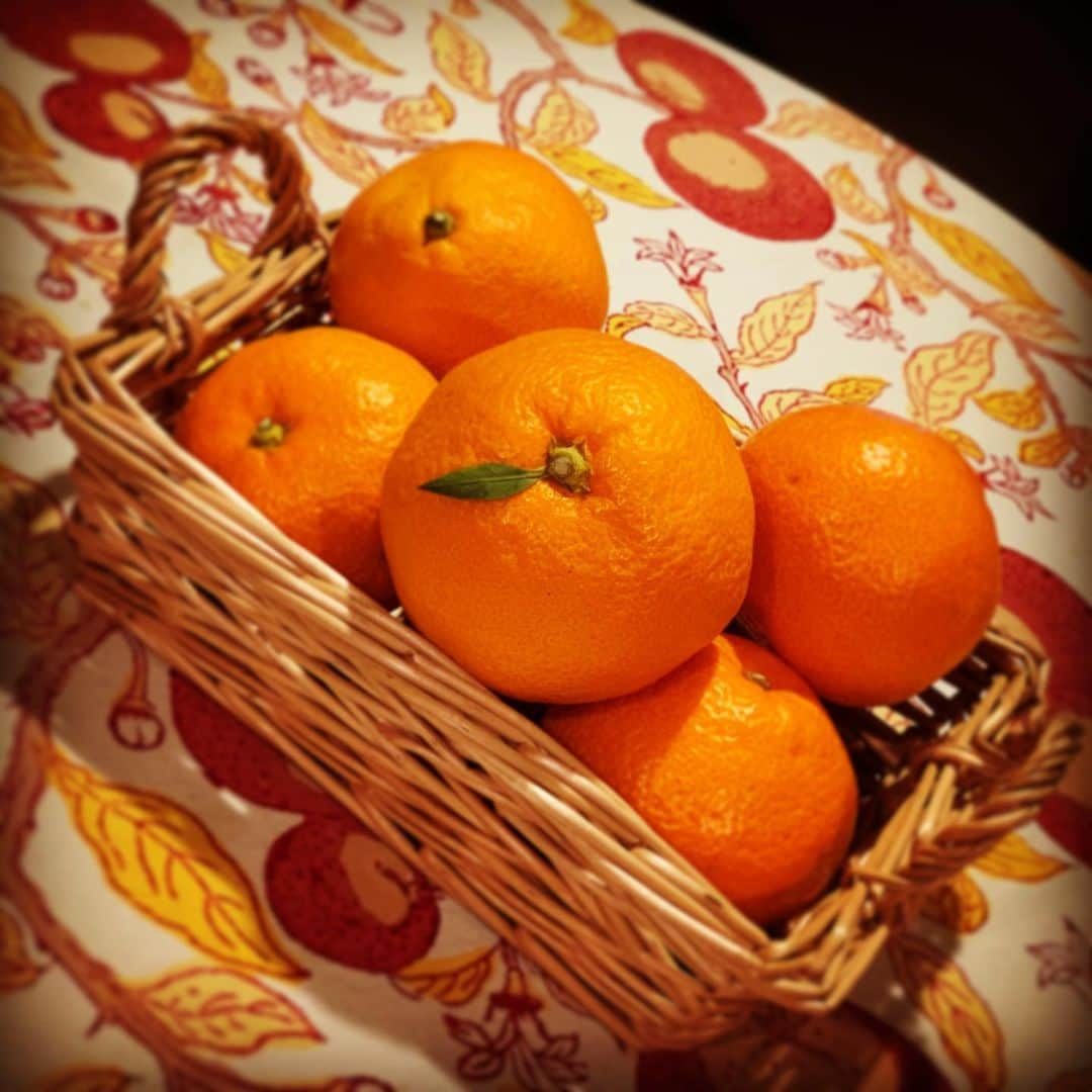 有森裕子さんのインスタグラム写真 - (有森裕子Instagram)「Seasonal🍊」12月5日 23時00分 - arimori.yuko33