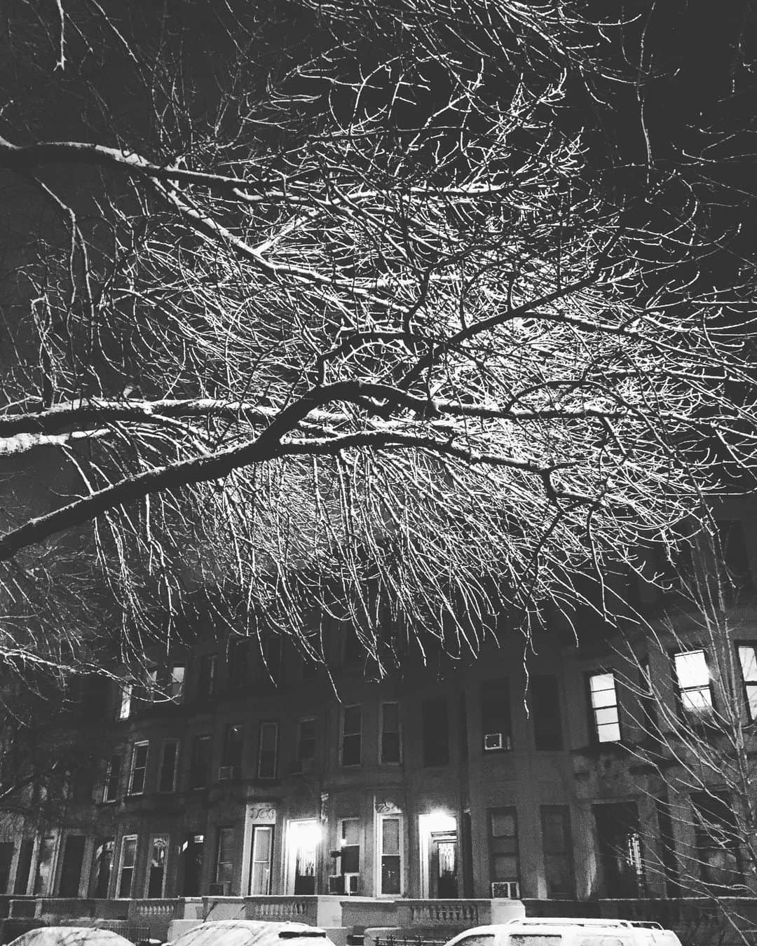 TOKUさんのインスタグラム写真 - (TOKUInstagram)「The other cold, snowy, beautiful winter night in new York. #brooklyn #winterinnewyork」12月5日 23時01分 - tokujazz