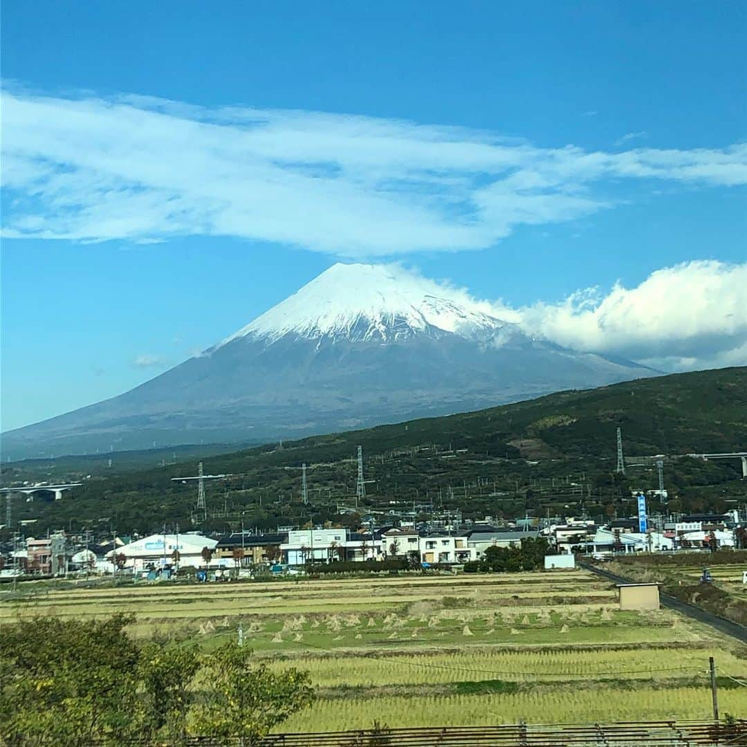 シーサーのインスタグラム