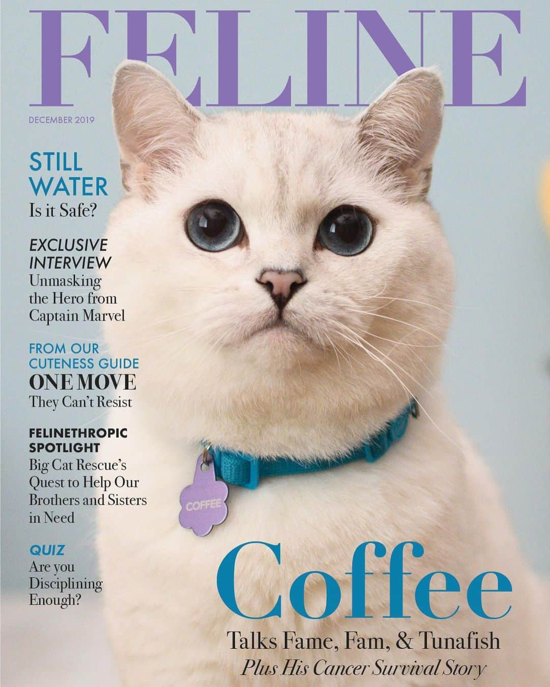 ミスター・ホワイトさんのインスタグラム写真 - (ミスター・ホワイトInstagram)「I am purrroud to announce that I am gracing the cover of the newest issue of @felinemagazine, the only fashion magazine by cats for cats! It’s been a pawesome collaboration. Get the inside scoop on my Family❤️ The issue is now available for pre-order. Go to felinemag.com and use the promo code COFFEE for $3 off your purchase. Order by Sunday to secure your copy and guarantee delivery by Christmas. 📸 @megraelee」12月6日 0時45分 - white_coffee_cat