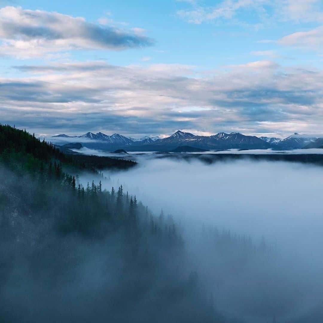 REIさんのインスタグラム写真 - (REIInstagram)「Where is your favorite view above the clouds?  Photo: @joyofthemoment.travel in Denali National Park & Preserve, #Alaska. #OptOutside」12月6日 1時01分 - rei