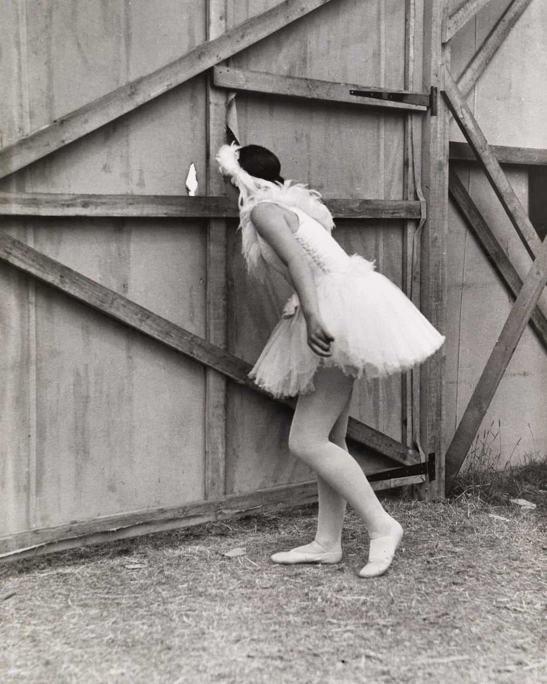 National Geographic Creativeさんのインスタグラム写真 - (National Geographic CreativeInstagram)「Photo by Maynard Owen Williams | A ballerina peeps at the audience from behind the scenes during a recital in England. This image was captured in January 1934. #ThrowBackThursday #BlackAndWhite #Ballet #England」12月6日 2時15分 - natgeointhefield