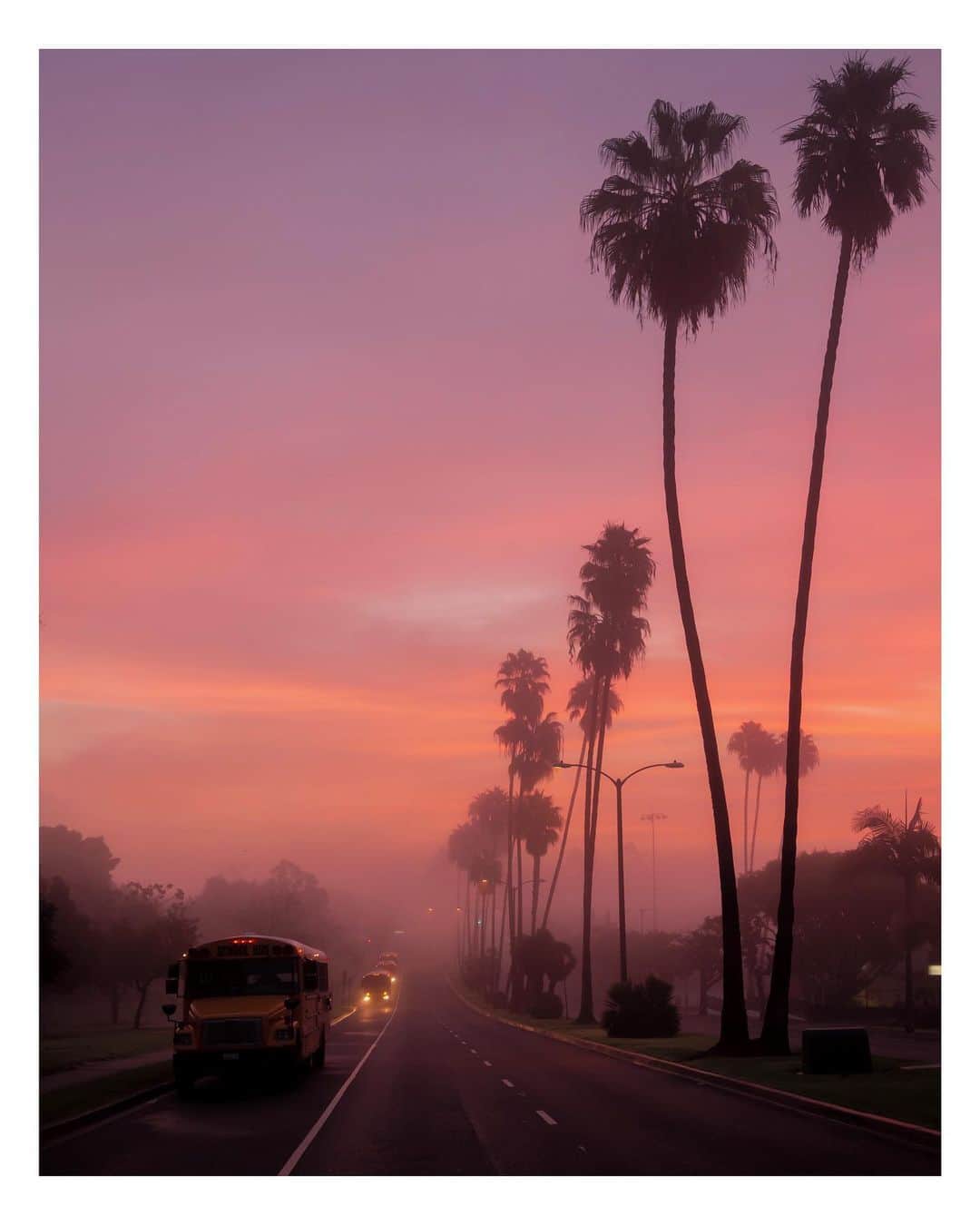 Pete Halvorsenのインスタグラム：「🚍🌴shout-out to all those school bus drivers who get up before sunrise to get those kids to school on time. . I'd like to think these sunrises are especially for you. . Leica SL」