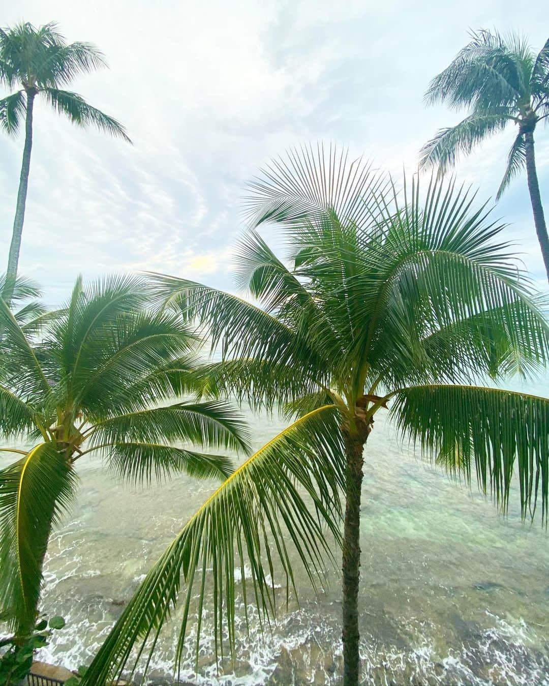 南美沙さんのインスタグラム写真 - (南美沙Instagram)「久しぶりに体調を壊し、、 2日間程引きこもってました。。. お家が海の近くっていうだけで、全然違う✨✨. . 到着してからずっと寝てたので、気づけばHawaii2日目ですが、、ある意味Hawaiiで体調壊しても毎日海が見れて波音聴けるからよかった✨🌴. . 明日には晴れますように✨🌞. . .  #hawaii #ハワイ #hawaiilife #ハワイライフ #ハワイ暮らし #ハワイに住む . #surf #surfing  #好き  #波 #サーフガール#波乗り女子 #サーファー #surfergirl  #surf #サーフィン女子 #サーフィン  #海 #南美沙  #波乗り #サーフィン好きな人と繋がりたい  #サーフィンライフ  #海. . . #googleのスマホ #google #googlepixel4」12月6日 12時54分 - miee.misa