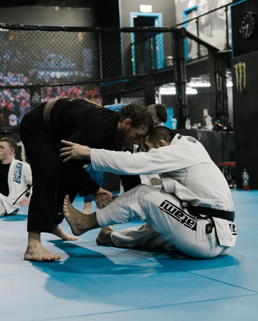 コナー・マクレガーさんのインスタグラム写真 - (コナー・マクレガーInstagram)「Great Jiu jitsu class at @sbgireland with @sbgnerijus and @ionpascu82 🥋」12月6日 5時44分 - thenotoriousmma