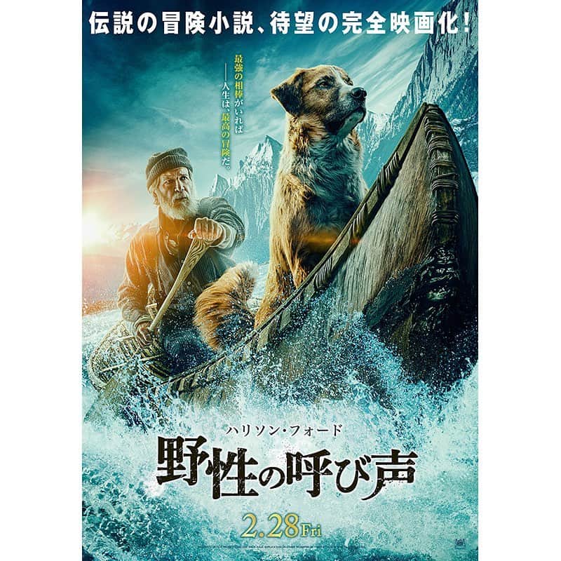 のインスタグラム：「. 🐕最強の相棒がいれば 🛶人生は、最高の冒険だ。 . ディズニーの「アラジン」「ライオン・キング」のクリエーターが贈る、伝説の名作冒険小説、初の完全“実写”映画化＆日本公開決定❗ . 人類未踏の地に挑戦する男（#ハリソンフォード）と犬の、壮大な冒険と限りない友情を描いた、感動のスペクタクル・アドベンチャー『野性の呼び声』が、2020年2月28日（金）幕を開ける❗ #映画 #映画好きと繋がりたい #洋画  #洋画好きと繋がりたい #ディズニー」