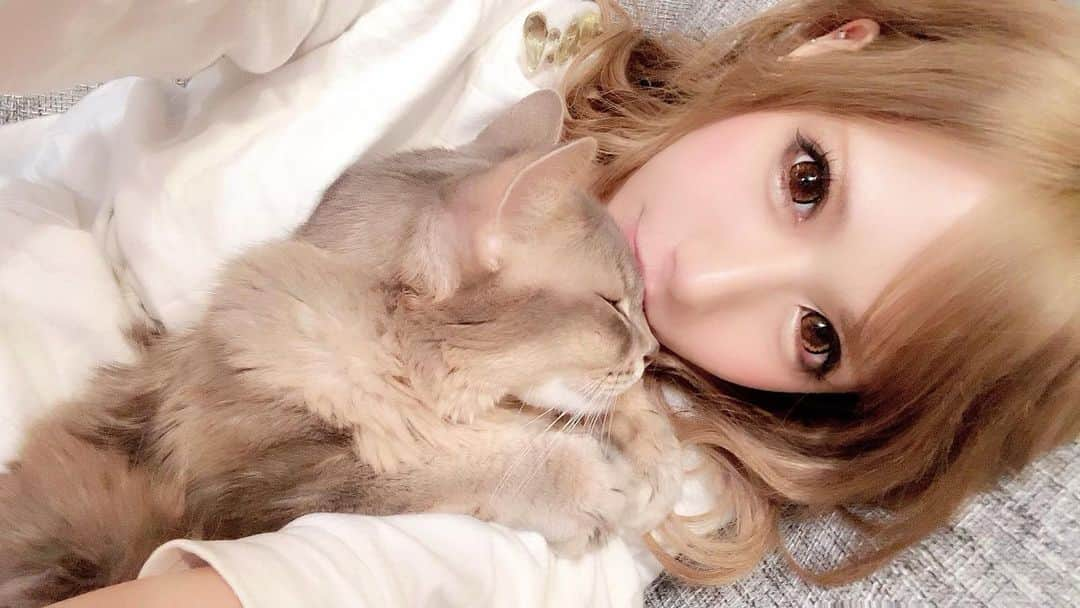 星河るいのインスタグラム：「. 昨日から入院してまふ💉 その為１週間ほどお休みいただきます〜〜 . 朝夜逆転生活だから 今日手術なのに寝れなかったわ（笑） 皆さま沢山のDMありがとです🥺❤︎ 頑張ってきます💉💉💉 . #入院生活#手術#なんとかなるっしょ精神#病院通い大変だった#やっとだわ〜#そんなことより#個室快適すぎる#腹減った#喉乾いた#明日の夜まで断食#なんなら水も飲めん#つらみちゃん#ツナマヨ元気かな」