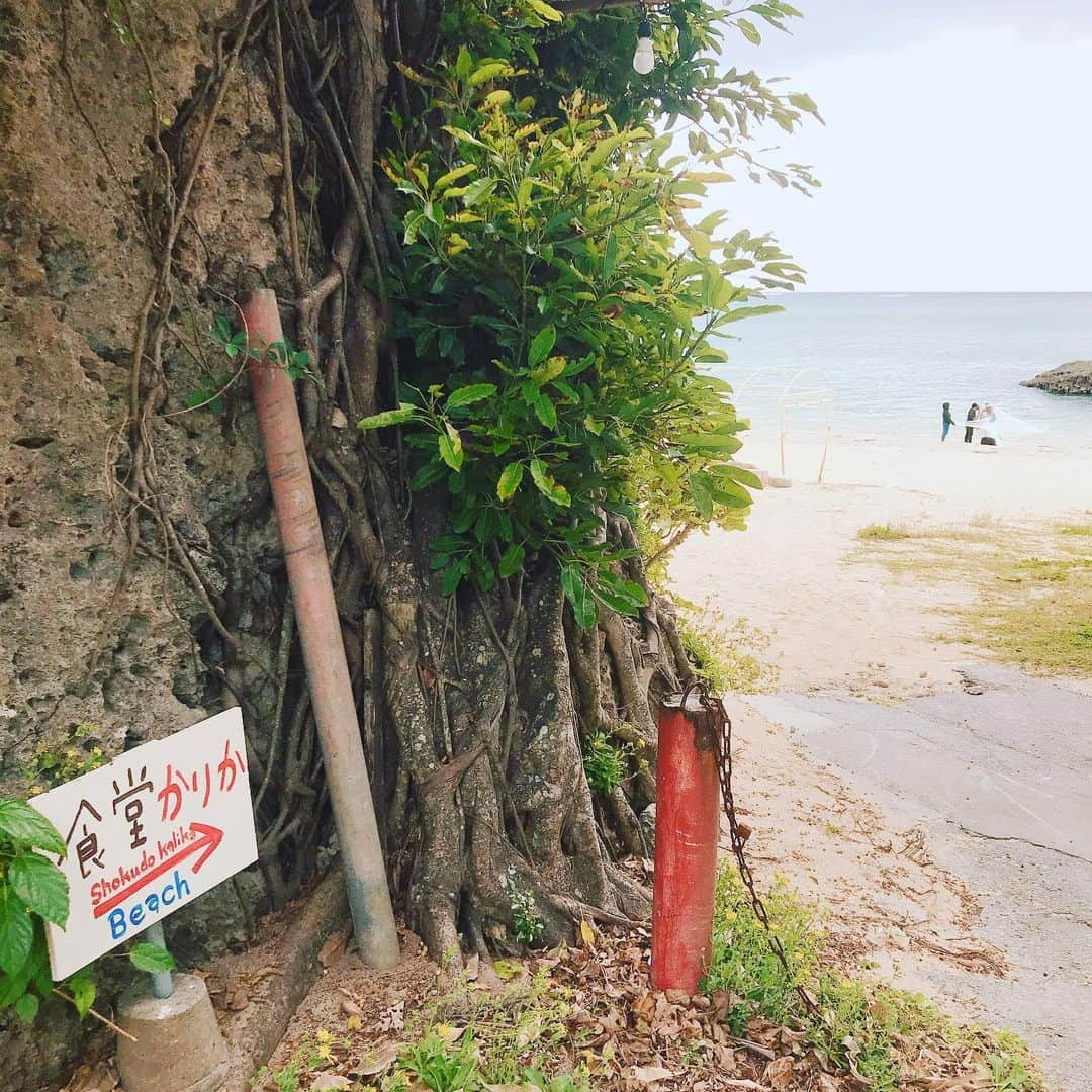 益子直美さんのインスタグラム写真 - (益子直美Instagram)「沖縄の南部、海辺にある食堂カリカ！ ネパールのカレー屋さん。  海の目の前です。 フワフワのパンのようなナンのような少し甘くて中が空洞の食べ物、名前忘れました。  #食堂カリカ  #沖縄  #南城市」12月6日 8時35分 - naomi.masuko