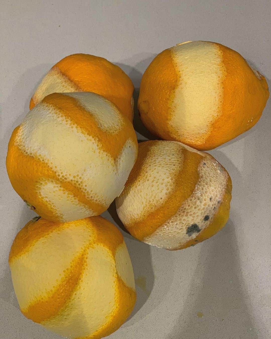 クレア・コフィーのインスタグラム：「Just don’t come to our house looking for orange juice. #garnishgraveyard #deathbynegroni Cc: @christhile can you bring home some citrus?」