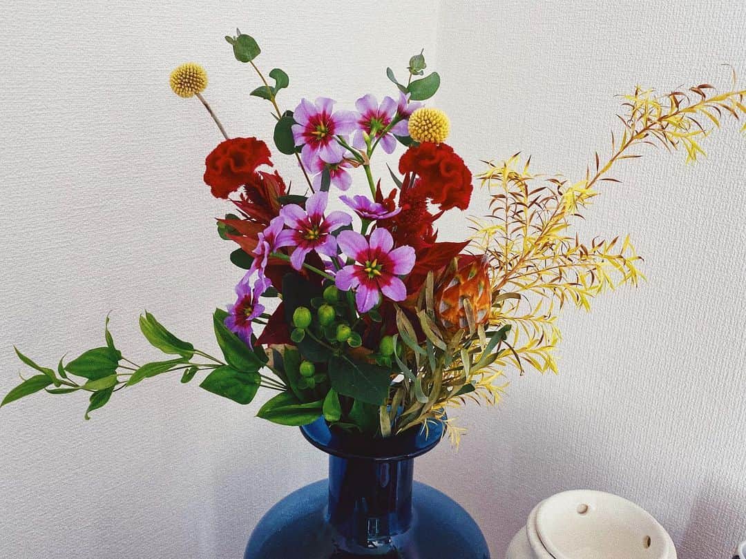 上原歩さんのインスタグラム写真 - (上原歩Instagram)「おはようございます☺︎🌸 ・ #love #happy #life #instagood #flower #color」12月6日 9時58分 - ayumiuehara