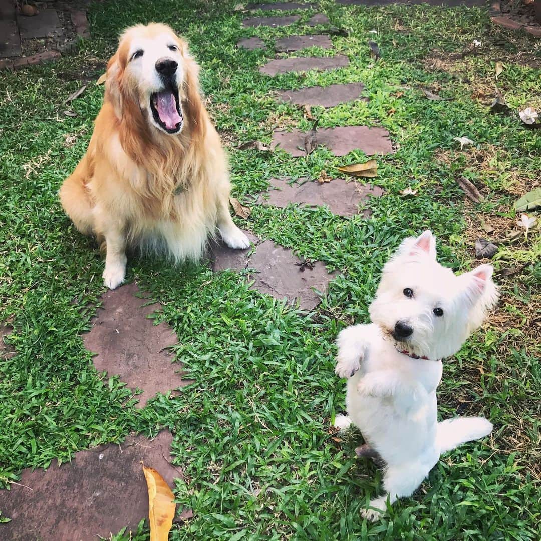 Hoykong&Plamuekのインスタグラム：「Good morning ☀️ very nice weather today. ❤️ เช้านี้อากาศดีจัง」