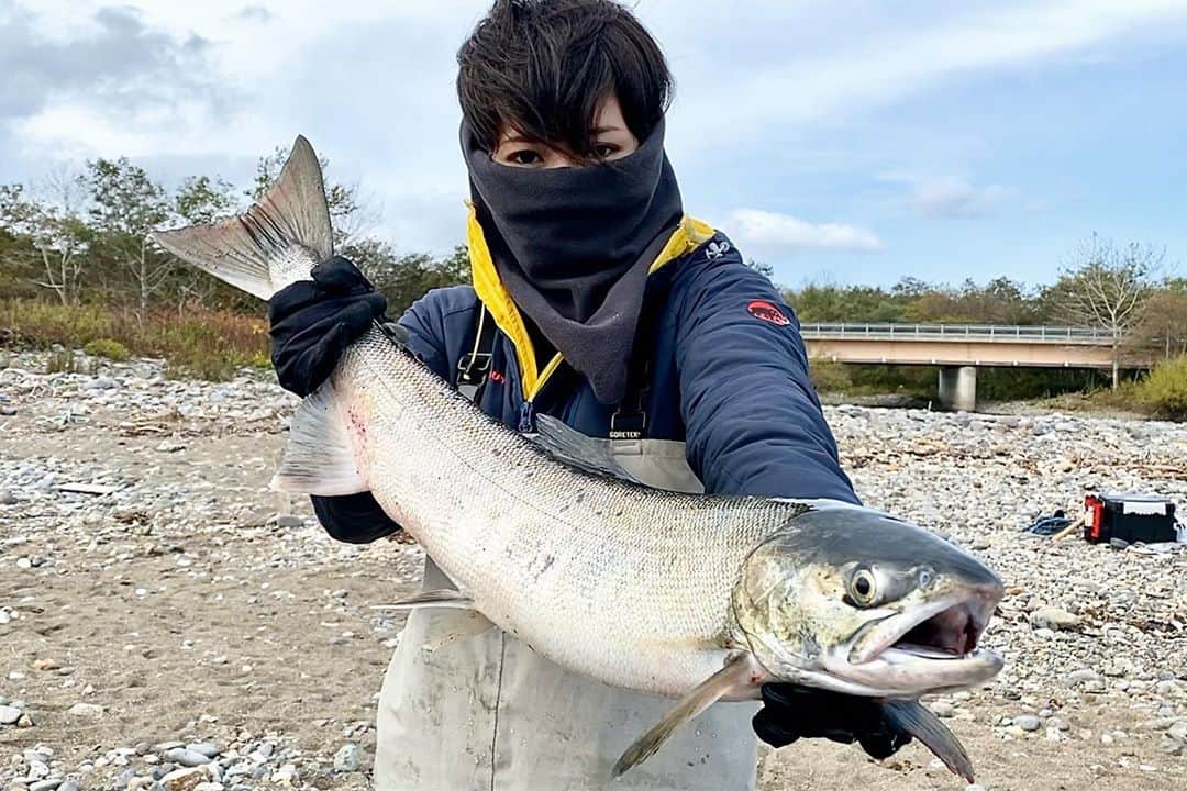 スーパーナブラのインスタグラム：「． ． 北海道の鮭✨ ． 友達が釣った鮭です😅 このイクラ入ったメスの鮭が釣りたくて 粘りに粘って以前投稿の鮭が釣れますが 鮭釣りって難しいですね💦 ． 北海道旅行の予定日に鮭が寄ってないと どうにもならん感じは絶望的でした💦笑 ． この時のビデオを見ていて投稿してみた ． #道東#青森#北海道#知床#札幌 #東北#風景#海#温泉#旅館#ホテル#和食 #グルメ#露天風呂#GW#車中泊 #景色#釣り#ブラックバス#マグロ #発見#おでかけ#女子旅#ツーリング#魚 #自然#釣り#釣りガール#YouTube#旅 ．  また夕方に投稿するので コメントはそのときに😊」