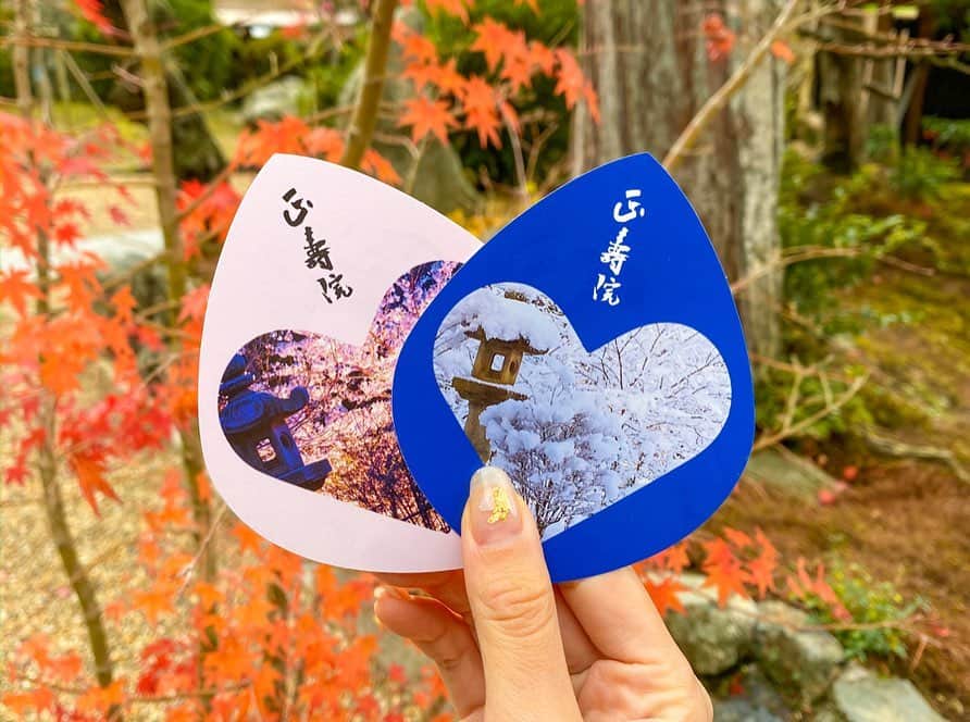 ななぴさんのインスタグラム写真 - (ななぴInstagram)「ずっと行きたかったところに行けて幸せ満点…🥰﻿ ﻿ ﻿ ちょうど紅葉も咲いて﻿ とても落ち着く目が嬉しい景色ばかりで癒されました🍁﻿ ﻿ 関東でも紅葉狩りしに行きたいなあ🤤﻿ とか思ってたら気づいたら12月…早😂﻿ ﻿ 今年は早かったなー！いろんなことできて満足だし来年も楽しみでいっぱい🙆‍♀️🔴﻿ ﻿ #正寿院　#京都　#京都旅行　#猪目窓　#幸せになるのではなく幸せに気づく　#国内旅行　#京都観光　#宇治観光　#お寺めぐり　#紅葉狩り　#紅葉」12月6日 11時17分 - __nanapgram__