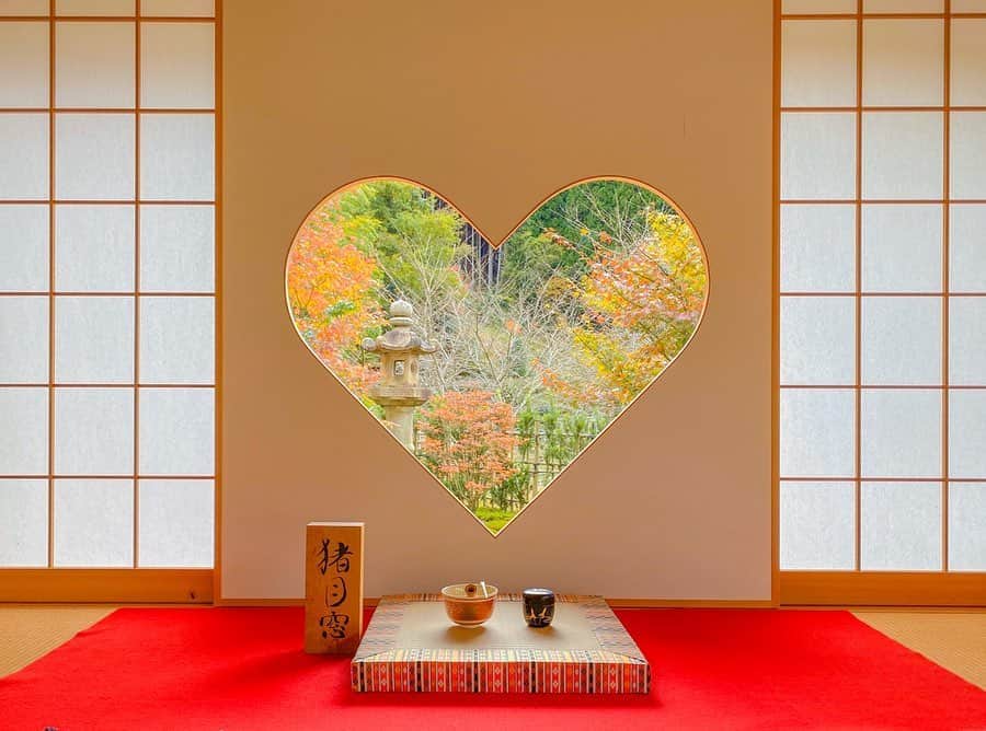 のインスタグラム：「ずっと行きたかったところに行けて幸せ満点…🥰﻿ ﻿ ﻿ ちょうど紅葉も咲いて﻿ とても落ち着く目が嬉しい景色ばかりで癒されました🍁﻿ ﻿ 関東でも紅葉狩りしに行きたいなあ🤤﻿ とか思ってたら気づいたら12月…早😂﻿ ﻿ 今年は早かったなー！いろんなことできて満足だし来年も楽しみでいっぱい🙆‍♀️🔴﻿ ﻿ #正寿院　#京都　#京都旅行　#猪目窓　#幸せになるのではなく幸せに気づく　#国内旅行　#京都観光　#宇治観光　#お寺めぐり　#紅葉狩り　#紅葉」