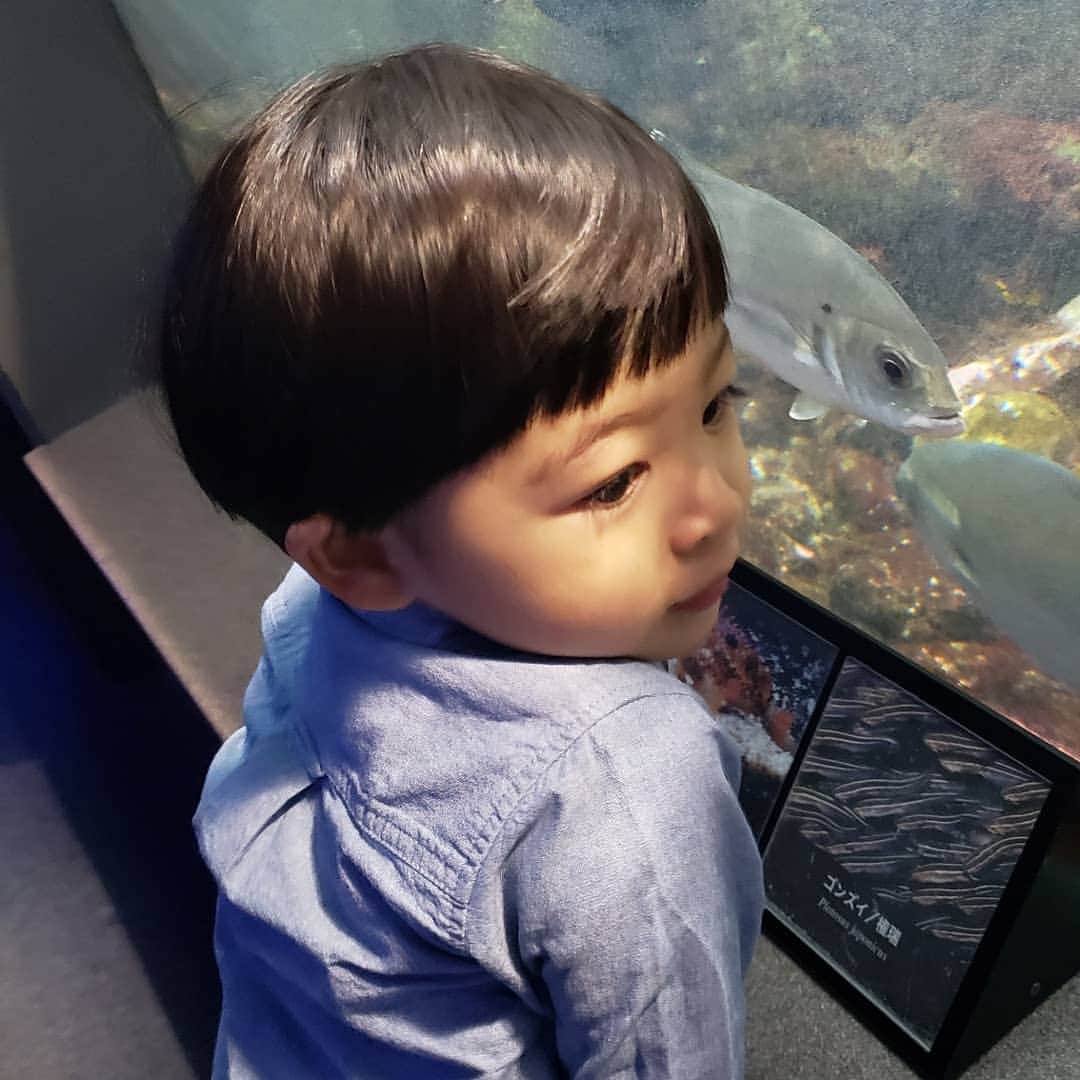 末永遥さんのインスタグラム写真 - (末永遥Instagram)「1歳のお誕生日の時と同じ 新江ノ島水族館へ… 🐙🐧🐠🐢🐟🐡🦈🐬🐳🐋 1歳の時とは違って、 お魚さんが分かるようになって 楽しみ方も増えたね😊  お天気も良くて最高だった☀️.° #新江ノ島水族館#お誕生日おめでとう  #でも#支度が進まない で#朝からイライラ #‪笑#ちゃっちゃと#動いてくれ#父ちゃんよ #息子の笑顔 で#元気に#回復#だけど #今日も#疲れは取れないまま#‪w」12月6日 11時47分 - haruka_suenaga86