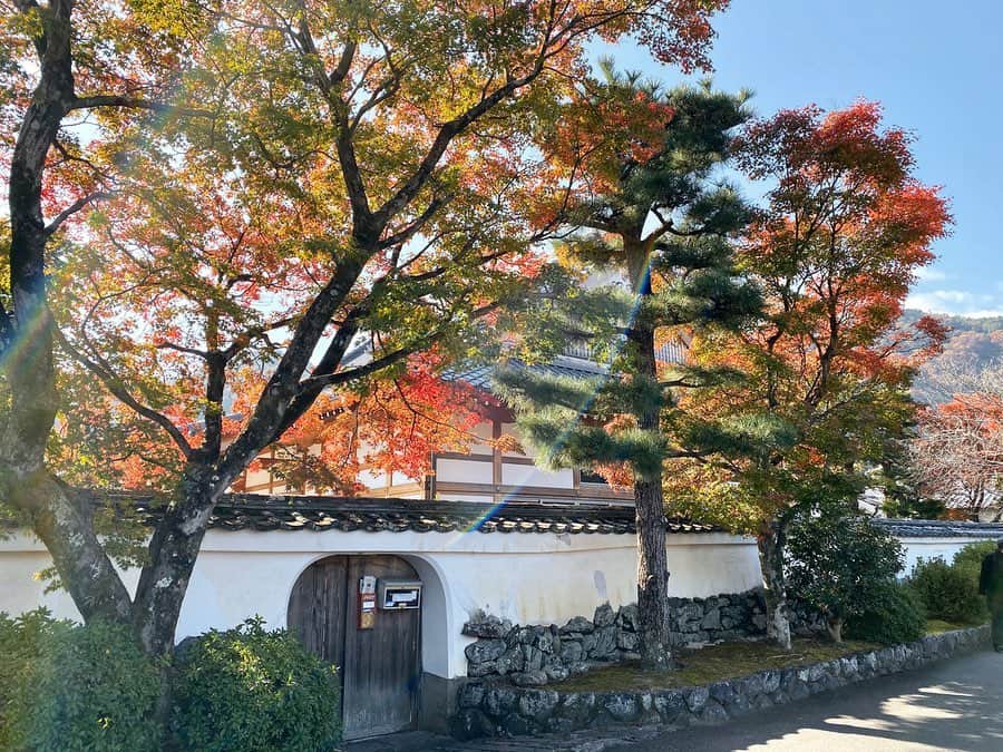 仙石みなみさんのインスタグラム写真 - (仙石みなみInstagram)「.🍁 嵐山散策〜。 iPhoneカメラいい感じ。 . #京都 #kyoto #嵐山 #紅葉 #着物 #着物フォレスト #autumn」12月6日 12時22分 - sengoku_minami