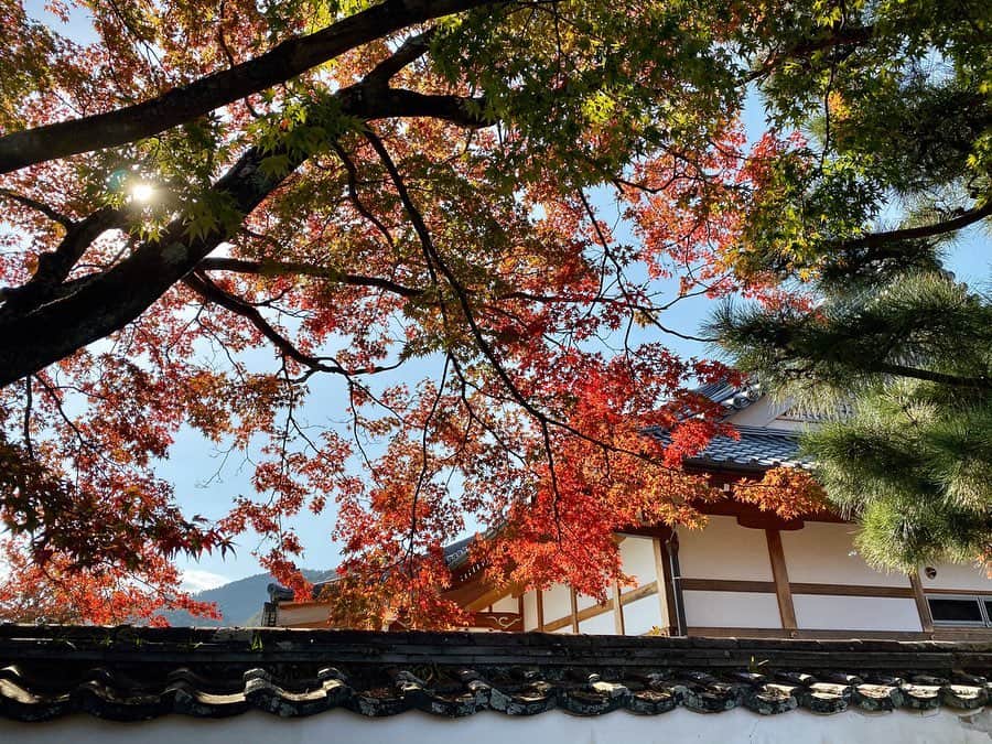 仙石みなみさんのインスタグラム写真 - (仙石みなみInstagram)「.🍁 嵐山散策〜。 iPhoneカメラいい感じ。 . #京都 #kyoto #嵐山 #紅葉 #着物 #着物フォレスト #autumn」12月6日 12時22分 - sengoku_minami