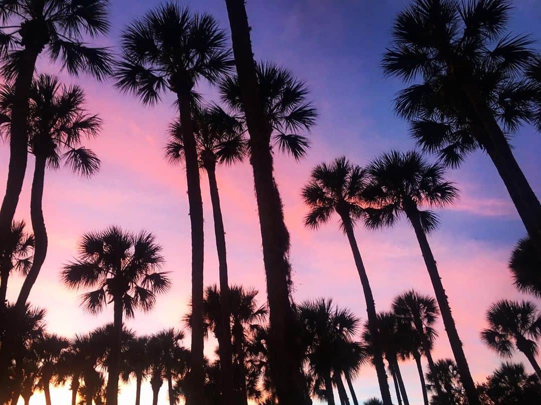 レイチェル・パーソンズのインスタグラム：「The sunset last night was somethin’ else 🌅」
