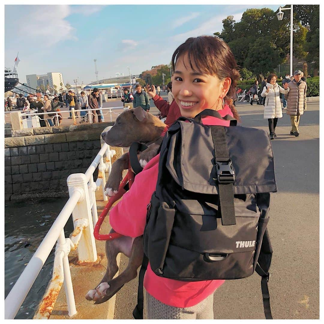 岡部紗季子さんのインスタグラム写真 - (岡部紗季子Instagram)「“ #thule #thulejapan #pitbull #backpack #thankyou #ピットブル #🎒#🐶 . . . おさんぽ♡ 抱っこできるのも今のうち♡」12月6日 21時51分 - sakiko_okabe516