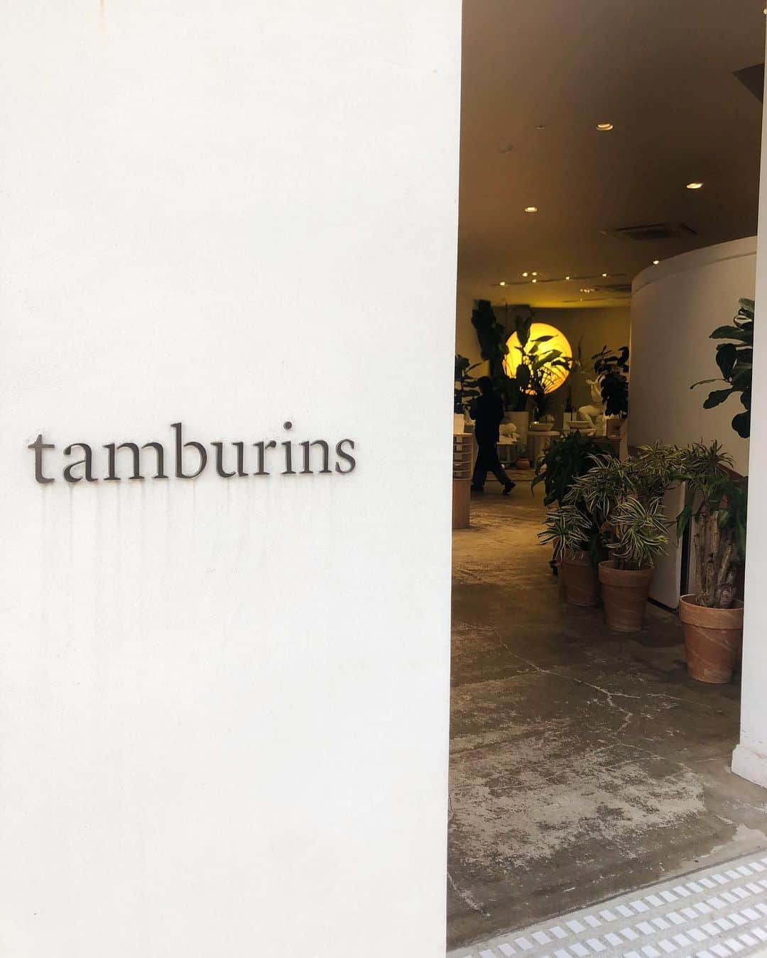 高橋野乃子さんのインスタグラム写真 - (高橋野乃子Instagram)「． #tamburins  #カロスキル」12月6日 22時33分 - _nonstyle_